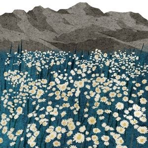 Meet your Posher, Maggie